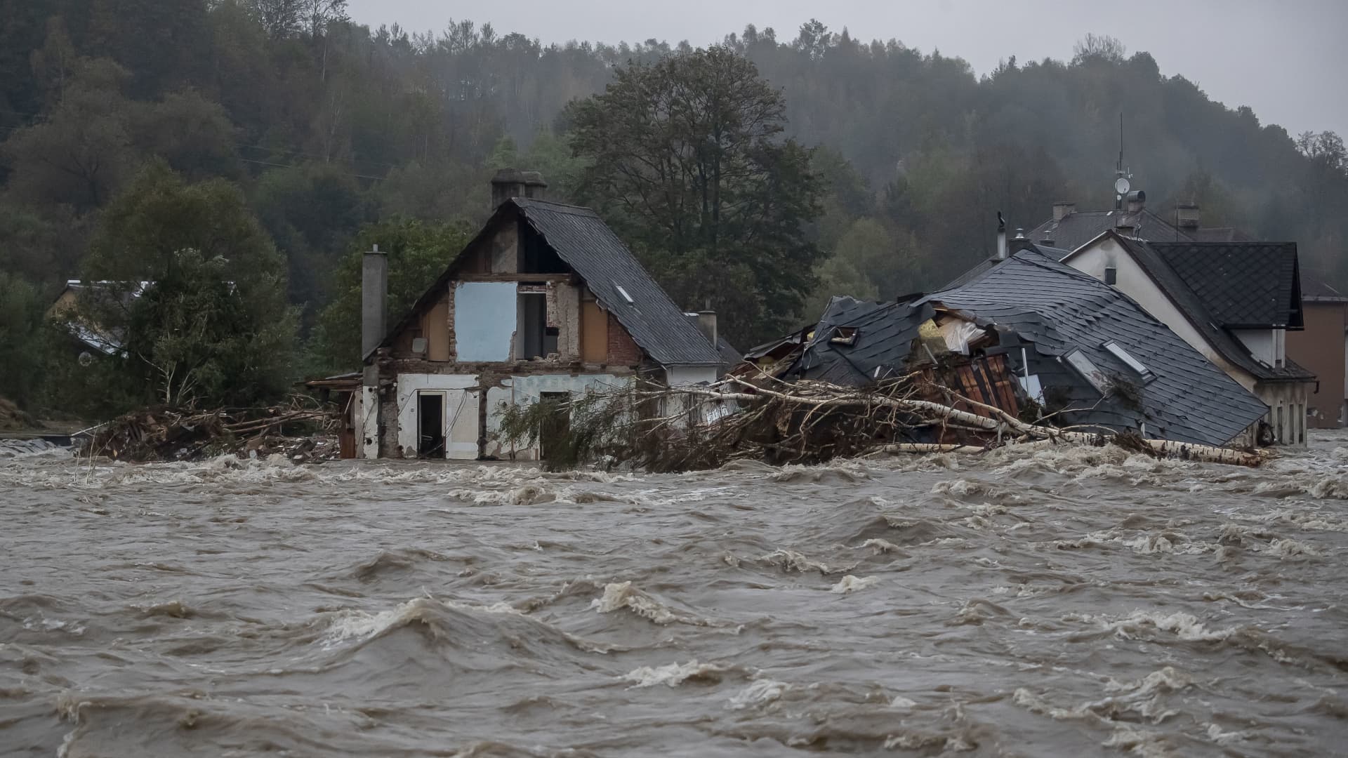 Pictures show floods ravaging Central and Eastern Europe as death toll rises