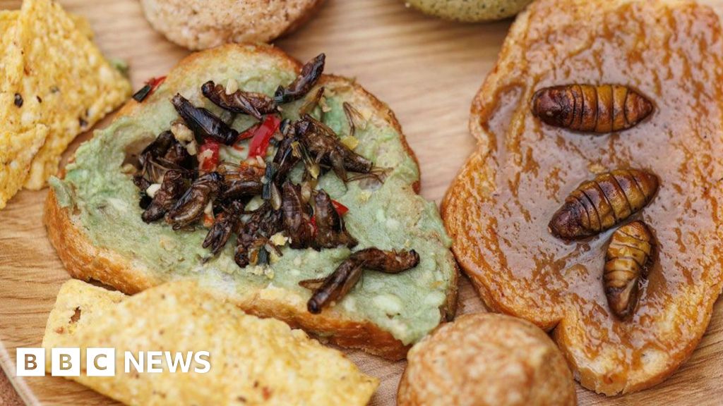 Culinary taste challenge for edible insect advocates