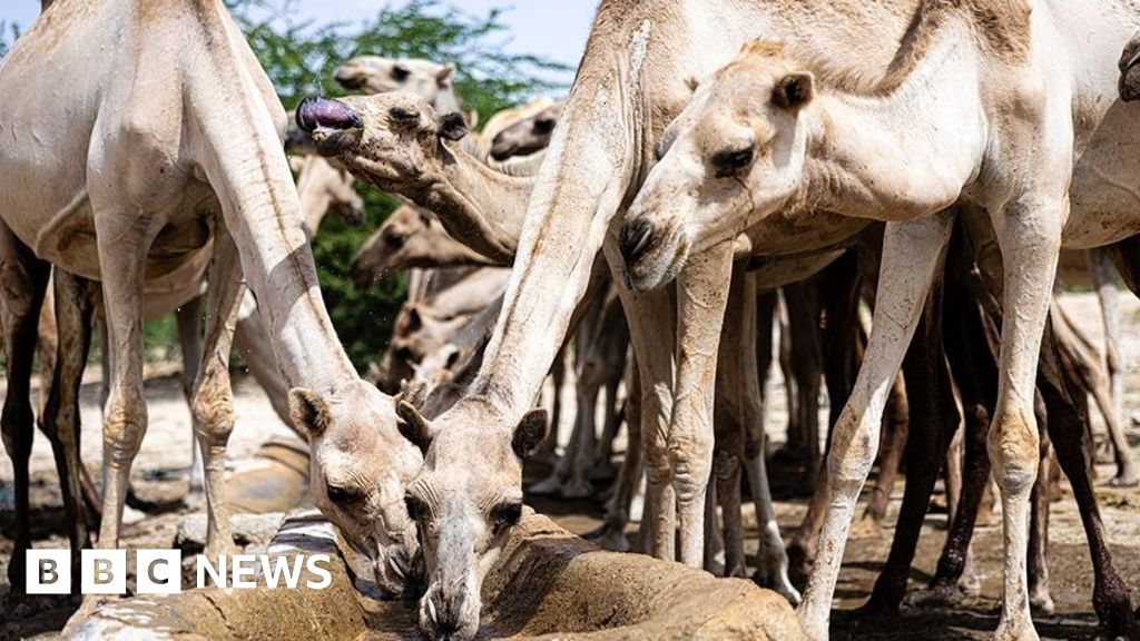 Climate change is turbo-charging Somalia’s problems